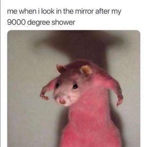 Meet your Posher, Christian